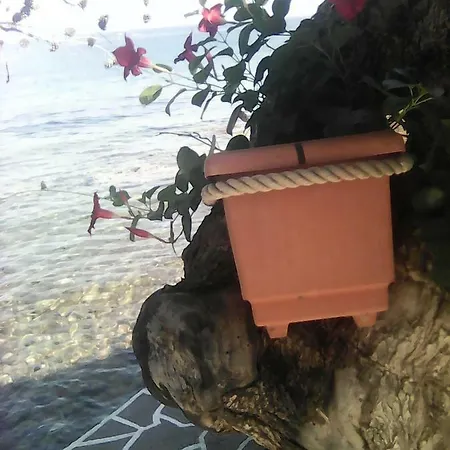 Agyrovoli *
